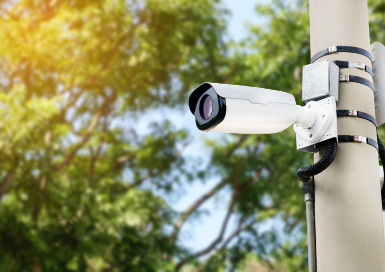 Untitled design (35)